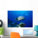 Australia, Great Barrier Reef, Potato Cod B1946 Wall Mural