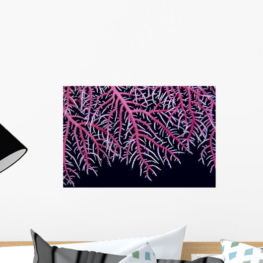 Papua New Guinea, Lace Coral Close-Up B1921 Wall Mural