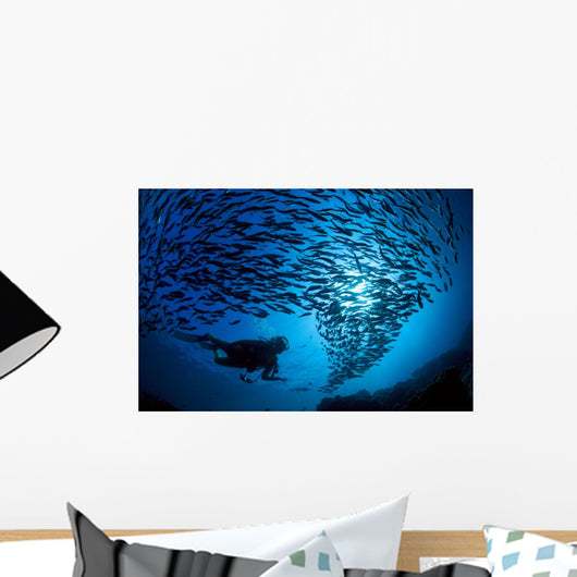 Galapagos Islands, Diver And School Black Striped Salema Endemic B1306 Wall Mural