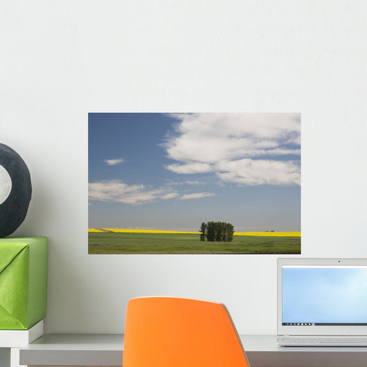 A Group Of Trees Wall Mural