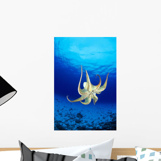 Hawaii, Day Octopus Midwater With Sunburst, Underside B1935 Wall Mural