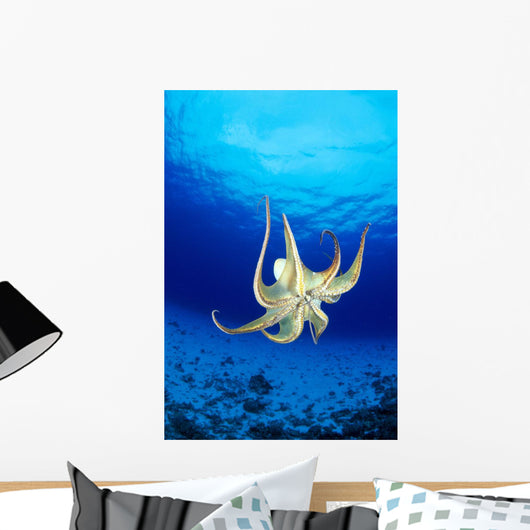 Hawaii, Day Octopus Midwater With Sunburst, Underside B1935 Wall Mural