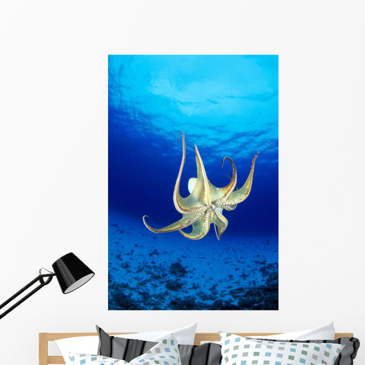 Hawaii, Day Octopus Midwater With Sunburst, Underside B1935 Wall Mural
