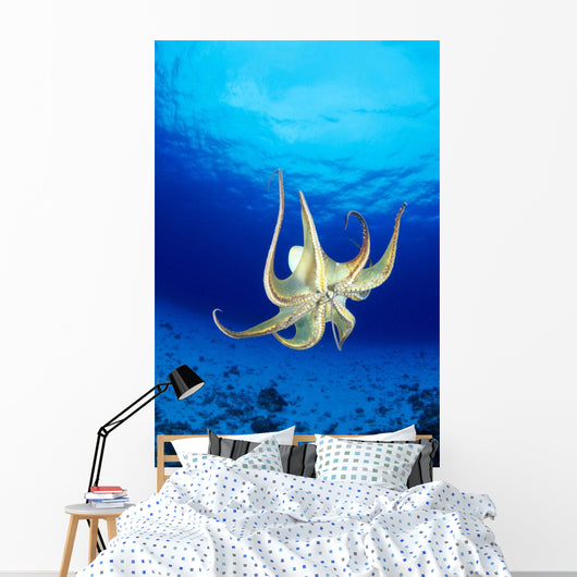 Hawaii, Day Octopus Midwater With Sunburst, Underside B1935 Wall Mural