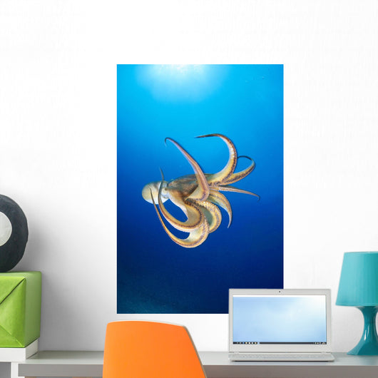 Hawaii, Day Octopus Midwater With Sunburst B1908 Wall Mural