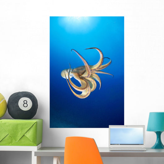Hawaii, Day Octopus Midwater With Sunburst B1908 Wall Mural