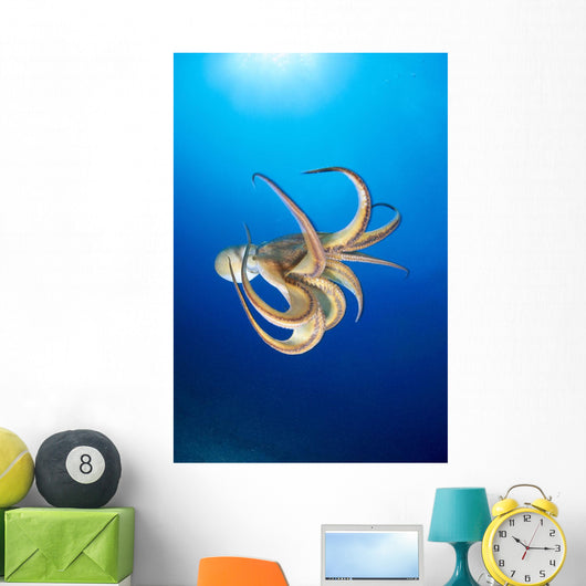 Hawaii, Day Octopus Midwater With Sunburst B1908 Wall Mural