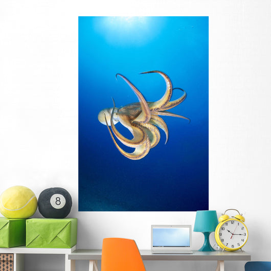 Hawaii, Day Octopus Midwater With Sunburst B1908 Wall Mural
