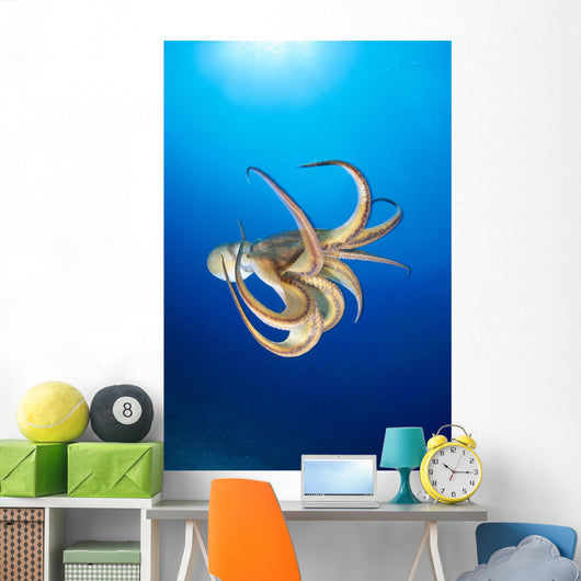 Hawaii, Day Octopus Midwater With Sunburst B1908 Wall Mural