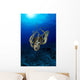 Hawaii, Day Octopus Sunburst, B1930 Wall Mural