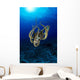 Hawaii, Day Octopus Sunburst, B1930 Wall Mural