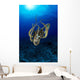 Hawaii, Day Octopus Sunburst, B1930 Wall Mural