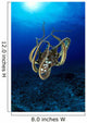 Hawaii, Day Octopus Sunburst, B1930 Wall Mural