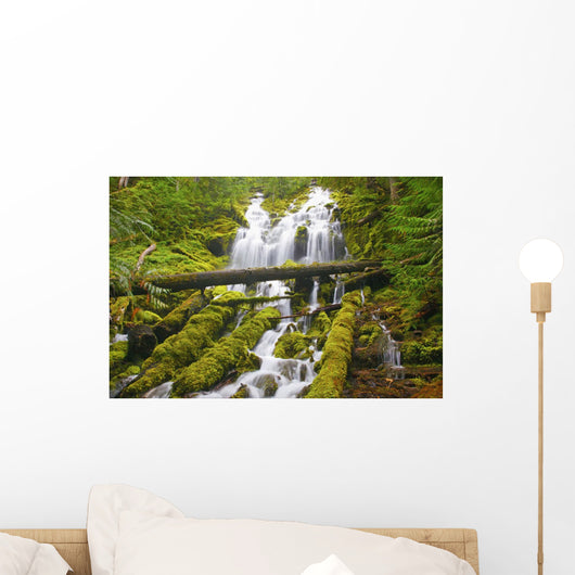 Proxy Falls In Willamette National Forest Wall Mural
