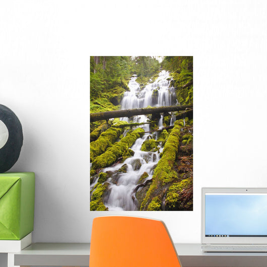 Proxy Falls In Willamette National Forest Wall Mural