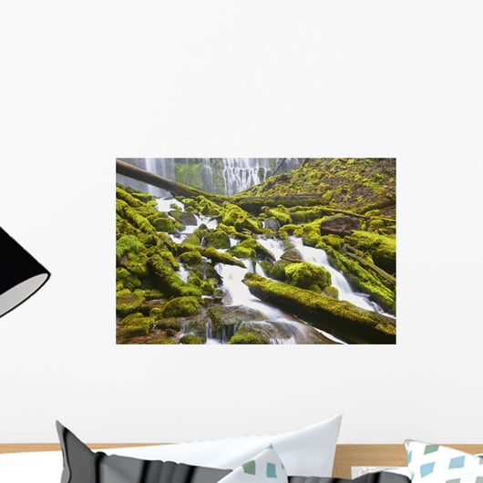 Proxy Falls In Willamette National Forest Wall Mural