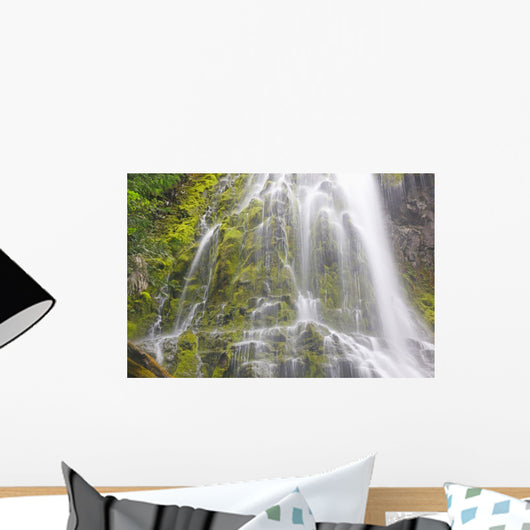 Proxy Falls In Willamette National Forest Wall Mural