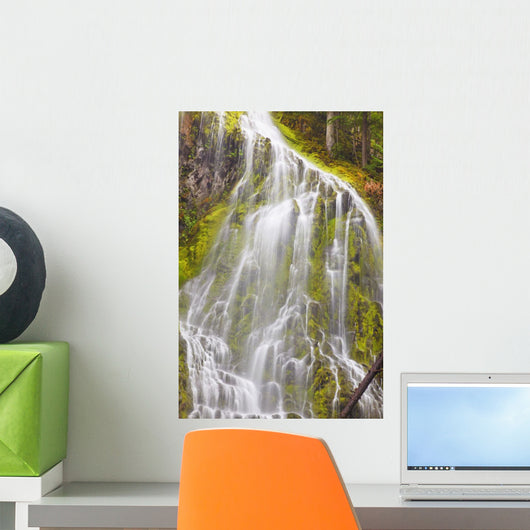 Proxy Falls In Willamette National Forest Wall Mural