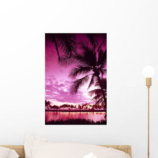 Pink Filter B1509 Wall Mural