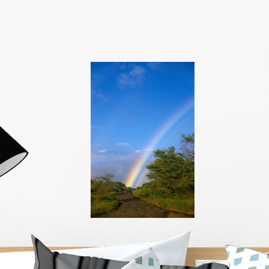 Hawaii, Big Island, North Kohala, Rainbow, Old Road, Kiawe Trees B1469 Wall Mural