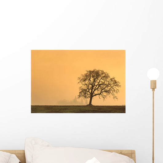 Oregon, Willamette Valley, Single Oak Tree In Fog At Sunrise B1634 Wall Mural