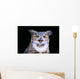 Great Horned Owl Portrait B1660 Wall Mural