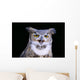 Great Horned Owl Portrait B1660 Wall Mural