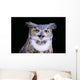 Great Horned Owl Portrait B1660 Wall Mural