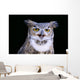 Great Horned Owl Portrait B1660 Wall Mural