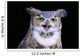 Great Horned Owl Portrait B1660 Wall Mural