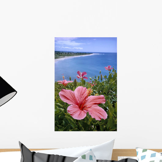 Hawaii, Pink Hibiscus Overlooking Beach B1589 Wall Mural