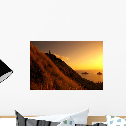 Hawaii, Oahu, Lanikai, Mountain Biking, View Of Mokulua Islands, B1241 Wall Mural