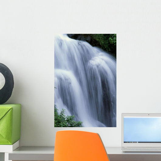 Blur Action B1608 Wall Mural