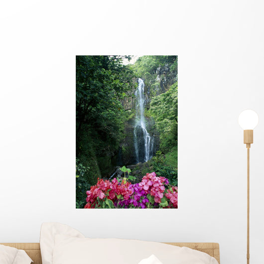 Bougainvillea In Foreground B1605 Wall Mural