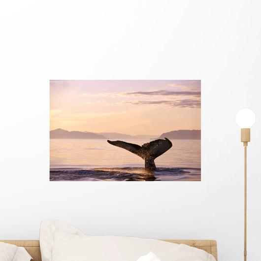 Alaska, Frederick Sound, Humpback Whale Fluke At Sunset B1988 Wall Mural