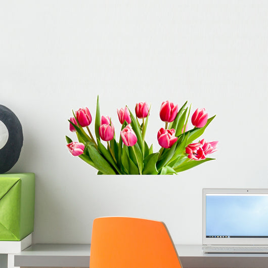 Signs Spring Wall Mural