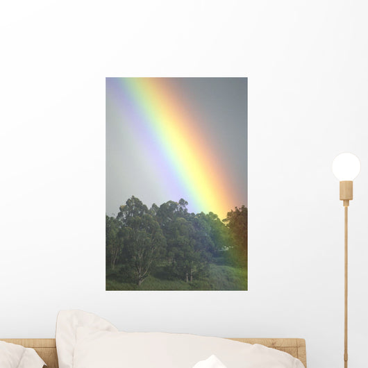 Hawaii, Maui, Haiku, Bright Rainbow In Misty Skies Over Trees C1754 Wall Mural