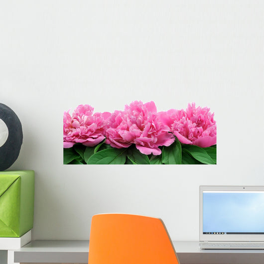 Peony Wall Decal