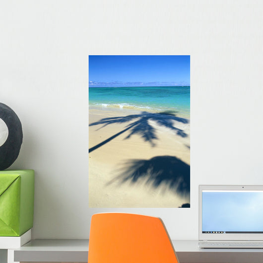 Palm Shadows On White Sand Beach, Turquoise Water C1713 Wall Mural