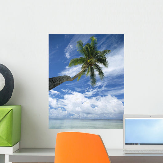Palm Tree Over Clear Calm Turquoise Waters Wall Mural
