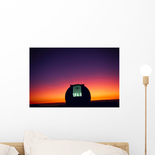 Open Dome Wall Mural