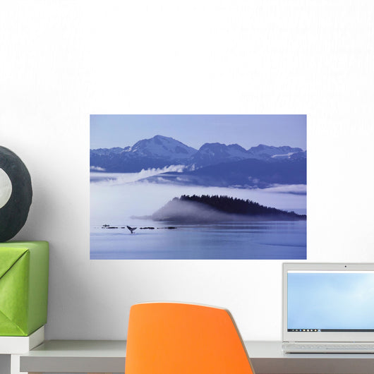 Humpback Whale Fluke Wall Mural