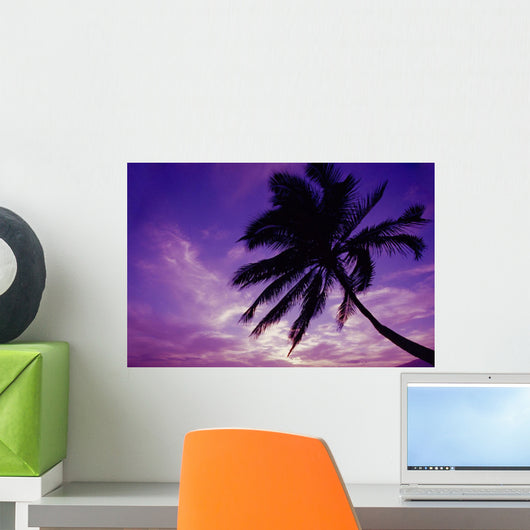 Palm Tree Silhouetted D1554 Wall Mural