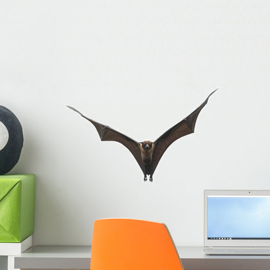 Flying Vampire Bat Halloween Wall Decal