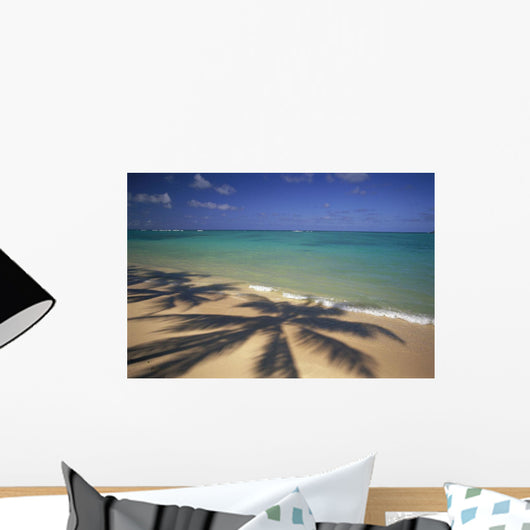 Beach Shoreline With Palm Tree Shadows, Calm Turquoise Ocean Horizon Wall Mural