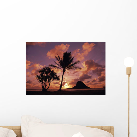Mokoli'i Island At Sunrise Palm Tree Foreground Wall Mural