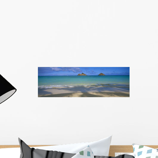 Panoramic Wall Mural