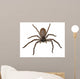 Big Fat Spider