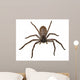 Big Fat Spider