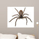 Big Fat Spider